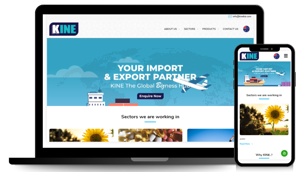 about Nucodex solutions